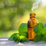 Natural Relief in Reach: New Clinical Study Suggests Daily Peppermint Oil May Lower Mildly Elevated Blood Pressure