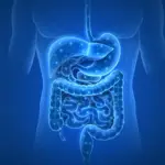 The Long Shadow of Pharmacotherapy: How Past Medication Leaves a Permanent Footprint on the Human Gut Microbiome