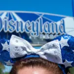 The Shadow of Illusion: How Viral "Disney Adults" and Stalker Culture are Testing the Boundaries of the Magic Kingdom
