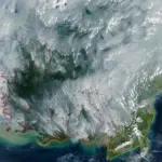 Beneath the Canopy and Below the Surface: Indonesia’s 2026 Peat Fires Ignite a Regional and Global Emergency