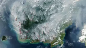 Beneath the Canopy and Below the Surface: Indonesia’s 2026 Peat Fires Ignite a Regional and Global Emergency