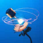 Beyond the Breakthrough: Why Modern Innovation Demands Resilience Over Pure Speed