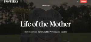 Beyond the Headline: How Incremental Investigative Journalism Drives Systemic Reform