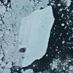 Colossus of the North: Inside the Historic 2026 Petermann Glacier Calving Event
