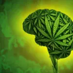 Comprehensive Global Health Investigation: Unpacking the Complex Link Between Cannabis Use, Violence, and Victimization
