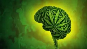 Comprehensive Global Health Investigation: Unpacking the Complex Link Between Cannabis Use, Violence, and Victimization
