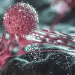 Decoding the Tumor Microenvironment: Breakthrough Cellular Maps Reveal the Hidden Strongholds of Dormant Breast Cancer Cells
