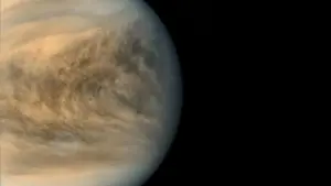 Decoding the Veil of Venus: New Study Puts Strict Numerical Limits on the Century-Old "Unknown Absorber" Mystery