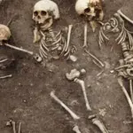 Deep in the Siberian Taiga, Ancient DNA Rewrites the History of Humanity’s Most Feared Killer