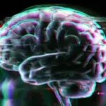 Executive Overview: A Paradigm Shift in Understanding Long COVID