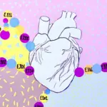 Hidden Ingredients, Heavy Toll: Landmark Study Links Common Food Preservatives to Cardiovascular Disease and Hypertension