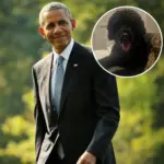 Mourning a White House Icon: The Obama Family Remembers Sunny, Their Beloved Portuguese Water Dog