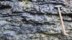 Rethinking Earth’s Ancient Past: Caltech Study Challenges Decades-Old Theories of a Global Carbon Crisis