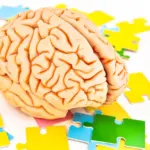 Shifting Profiles: How a Decade of Diagnostic Evolution is Transforming Our Understanding of ADHD and Autism