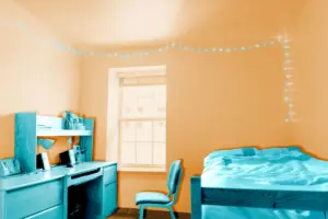 The Architecture of Empty Nesting: Navigating the Transition from Parental Micro-Management to Radical Independence