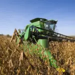 The Invisible Giant: How the Soybean Conquered the American Diet and Economy Without Anyone Noticing