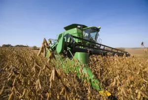 The Invisible Giant: How the Soybean Conquered the American Diet and Economy Without Anyone Noticing