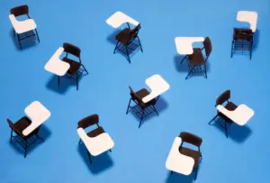 The Paradox of Educational Idealism: Nikole Hannah-Jones, Systemic Inequality, and the Liberal Dilemma