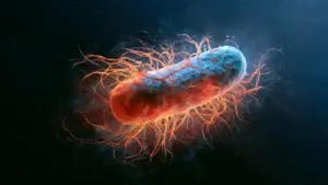 Tiny Navigators of Time: How Magnetic Bacteria Are Rewriting the Science of Longevity