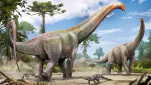 Titans of the Past: How a Routine Brazilian Construction Site Yielded a Groundbreaking Dinosaur Discovery