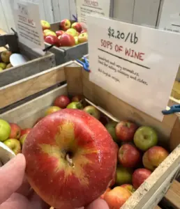 An Unruly Fusillade Of Apple Reviews For Alla Yous, Part Two – Chuck Wendig: Terribleminds