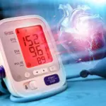 Beyond the Average: How Brainstem Neurons Control Blood Pressure Stability and Redefine Cardiovascular Health