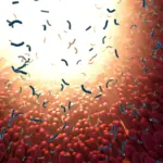 Decoding the Inner Cosmos: How Your Gut Microbiome Holds the Secret to Biological Aging