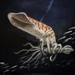 Deep-Dive Paleontology: The Discovery of Wyoteuthis linsterorum, the "Chunkiest" Jurassic Squid Relative