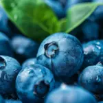 Executive Overview: Unlocking the Gut-Brain Axis Through Everyday Nutrition