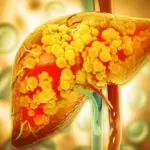 Guarding the Vital Organ: Breakthrough Discovery Reveals Enzyme’s Protective Role Against Advanced Liver Disease