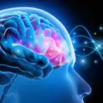 Precision Neurology Meets Mental Health: FDA Clearance of Personalized Brain Stimulation Signals a New Era for PTSD Treatment