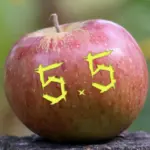 The Anatomy of an Heirloom: Investigating the Franc Rambour, the Geography of Flavor, and the Curious World of "Appleology"