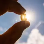 The Vitamin D Divergence: Why Your Choice of Supplement Might Be Working Against Your Body’s Natural Chemistry