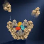 Unlocking Nature’s Blueprint: University of Oxford Researchers Capture Virus Assembly Molecule by Molecule