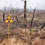 Unlocking the Atomic Archive: Breakthrough Study Reveals Surprising Stability in Chornobyl’s 40-Year-Old Radioactive Fallout